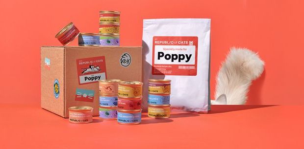 Republic Of Cats UK Discount Codes 2025